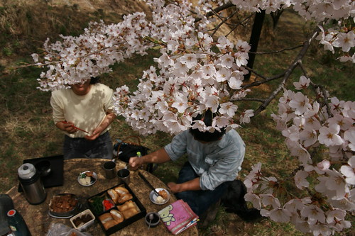 tea ceremony