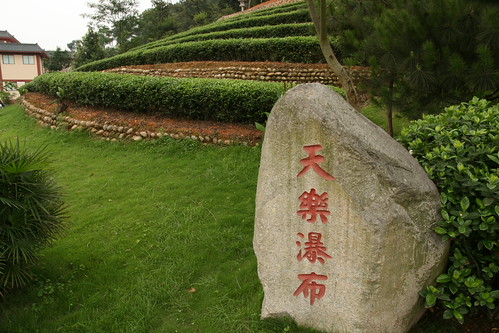 Tea bushes in the Tea Garden