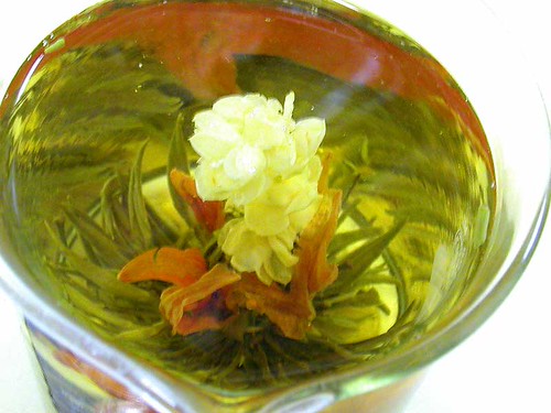 jasmine tea tree